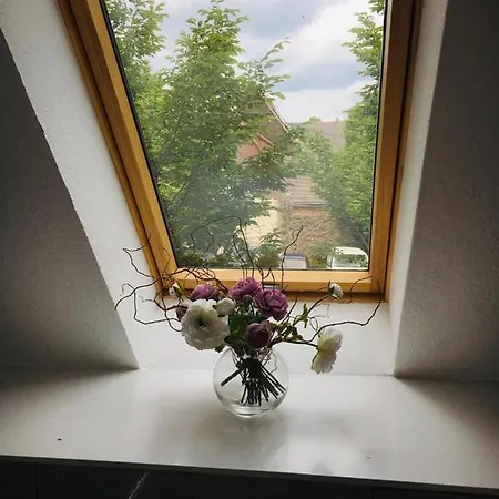 Rheingau - Schoene Moeblierte Ferienwohnung Apartment
